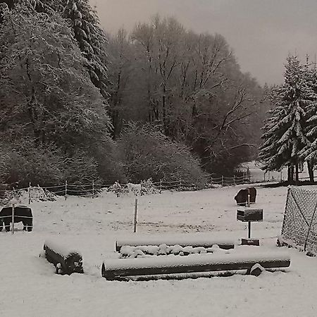 Muehlenhof Stadtkyll Zewnętrze zdjęcie